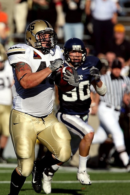 成就不仅体 成就不仅体