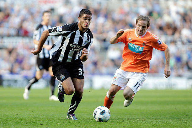 迷担心一月 迷担心一月