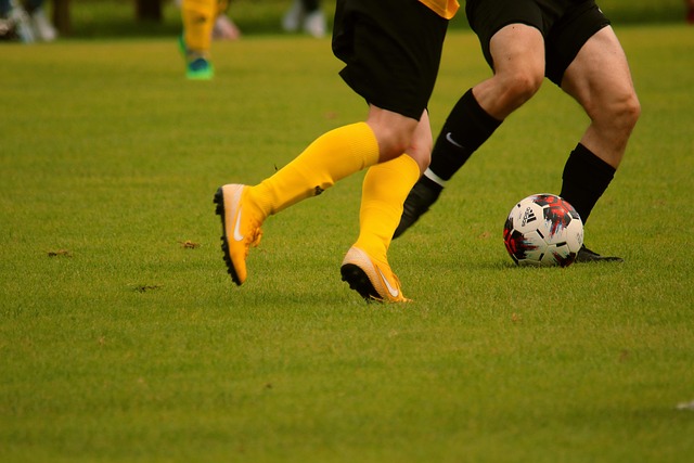 裁判的漏判 裁判的漏判